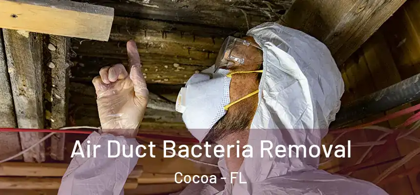  Air Duct Bacteria Removal Cocoa - FL