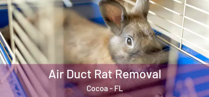  Air Duct Rat Removal Cocoa - FL