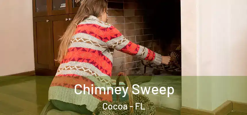 Chimney Sweep Cocoa - FL