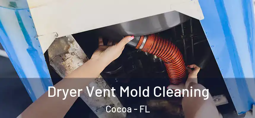 Dryer Vent Mold Cleaning Cocoa - FL