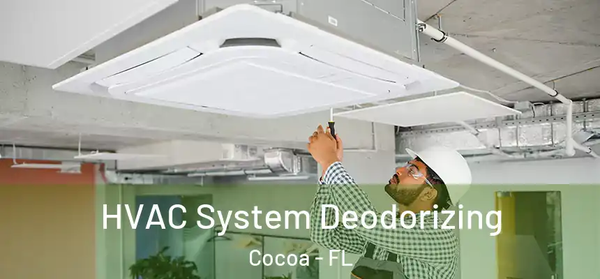 HVAC System Deodorizing Cocoa - FL