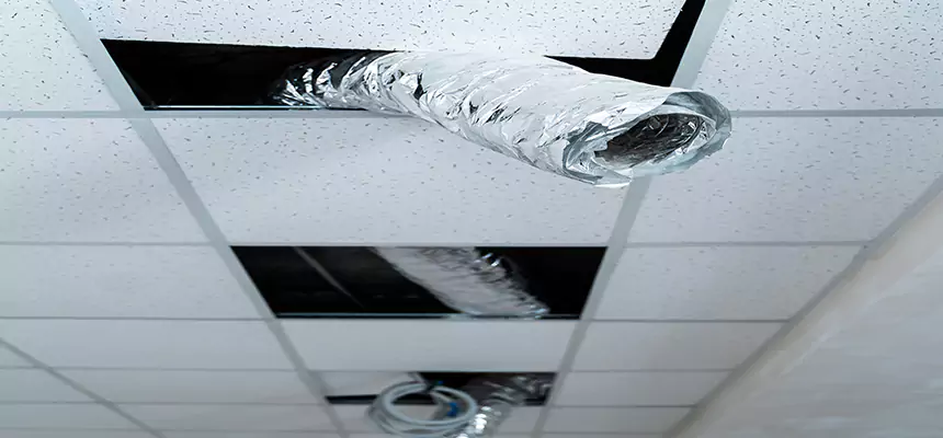 Affordable HVAC Sanitizing After Pest Removal in Cocoa