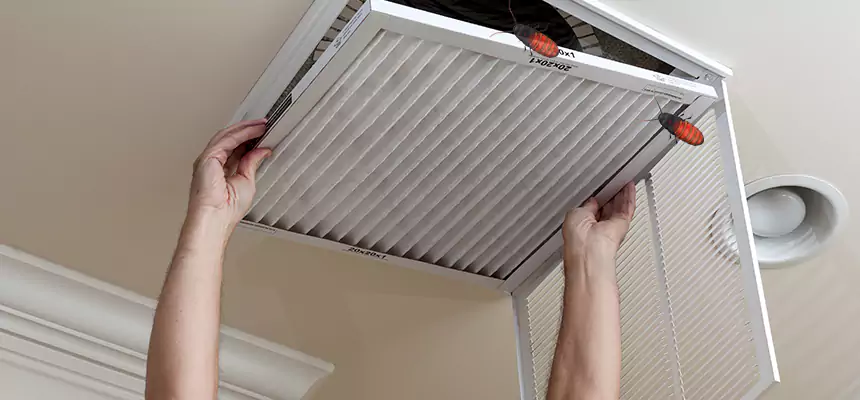 Our Insect Removal from Air Ducts Services in Cocoa, FL