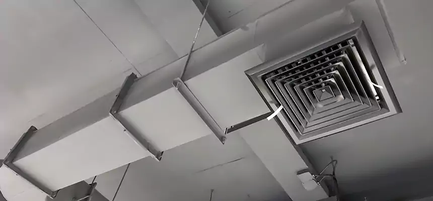 Our Pest Removal From Ducts Services in Cocoa, FL