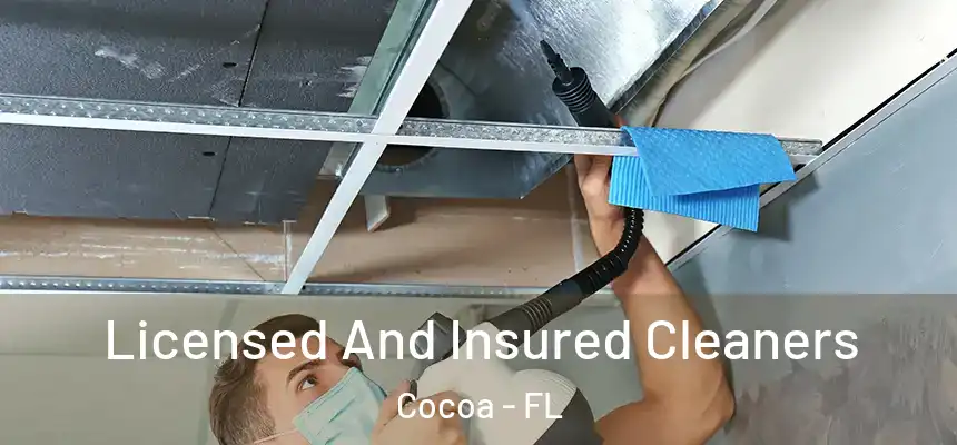 Licensed And Insured Cleaners Cocoa - FL