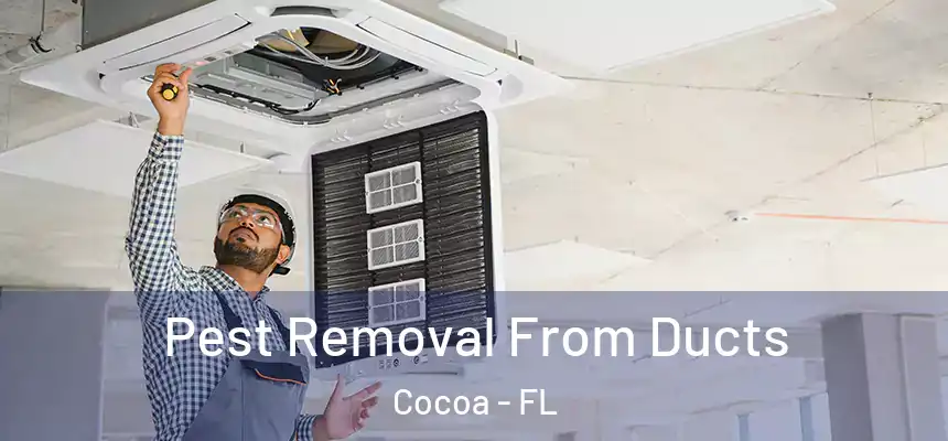 Pest Removal From Ducts Cocoa - FL