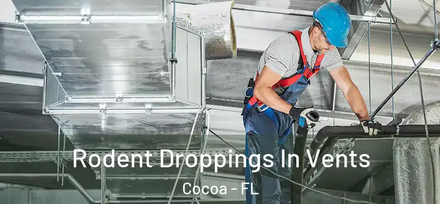 Rodent Droppings In Vents Cocoa - FL