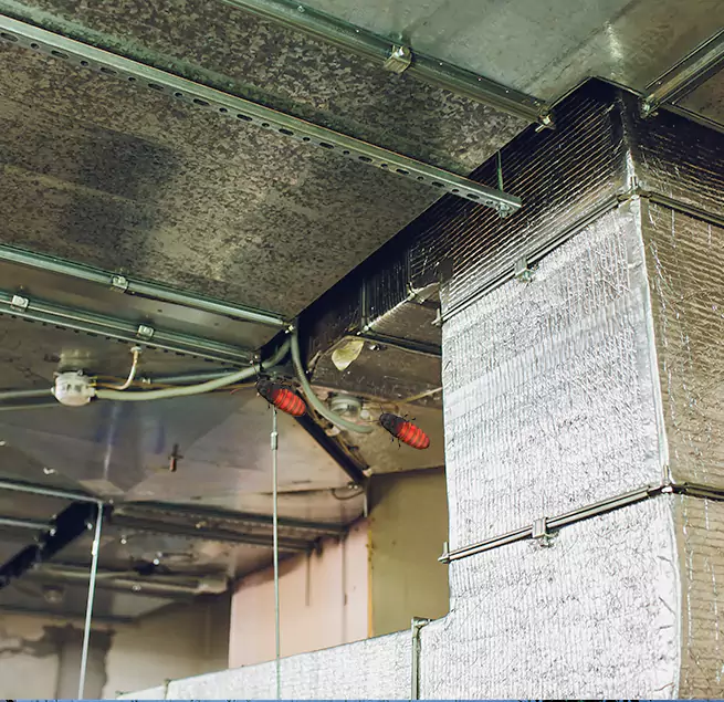 Why Homeowners & Businesses Trust Us in Cocoa, FL?