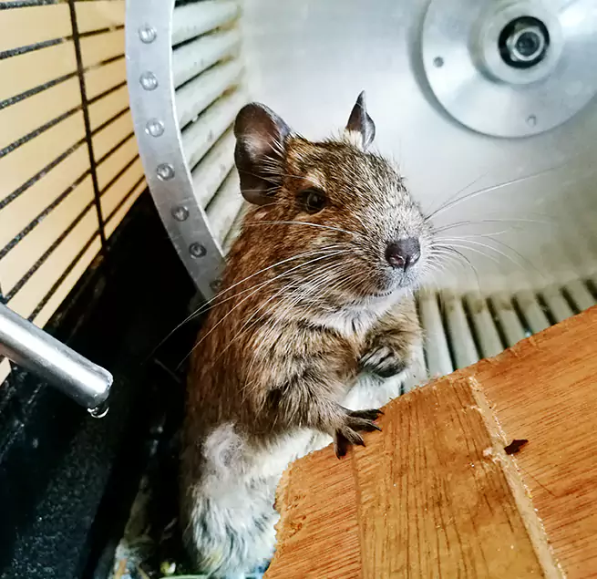 Why Homeowners & Businesses Trust Us Cocoa, FL?