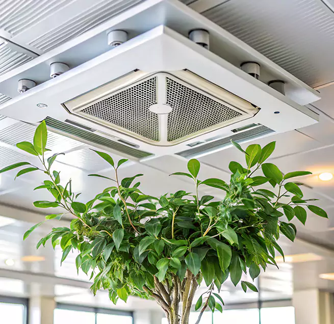 Why Homeowners & Businesses Trust Us in Cocoa, FL?