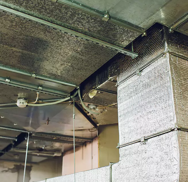 Why Homeowners & Businesses Trust Us in Cocoa, FL?