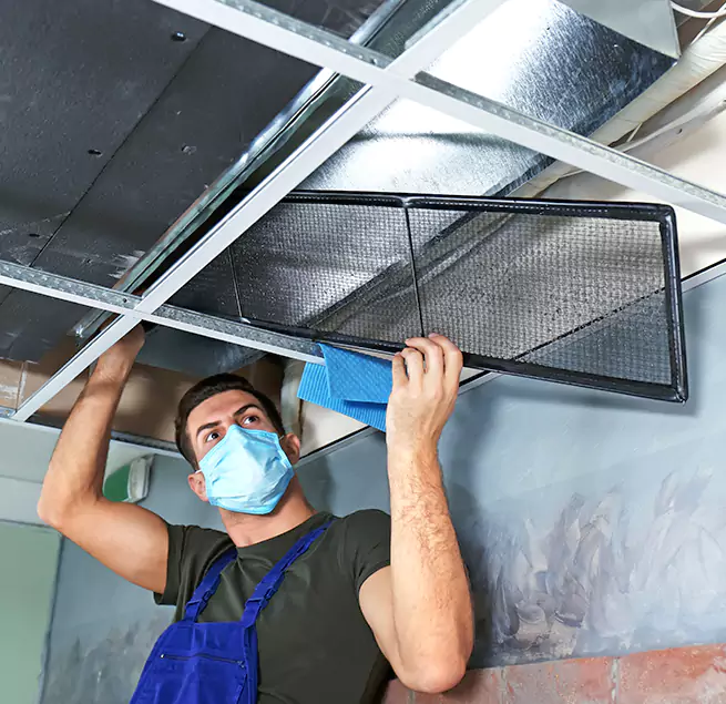 Why Homeowners Businesses Trust Us  in Cocoa, FL?