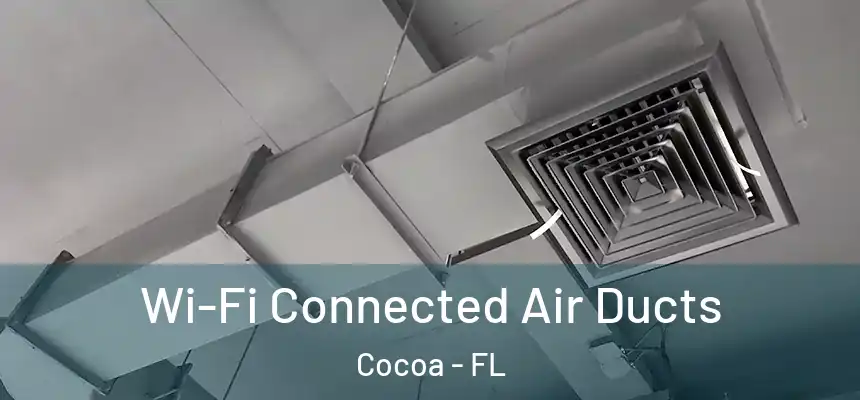 Wi-Fi Connected Air Ducts Cocoa - FL